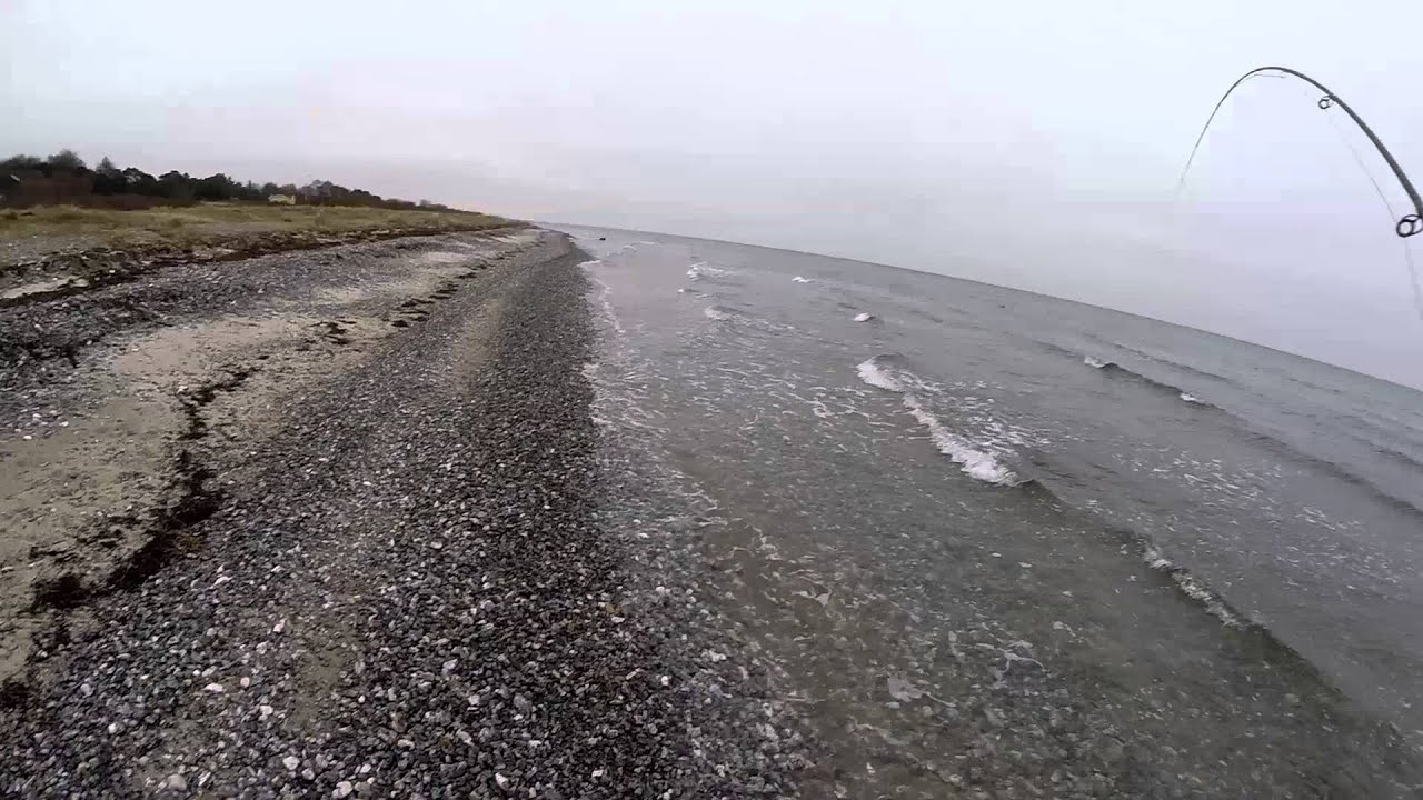 Havsöring på sydkusten 64.5 CM [HD]