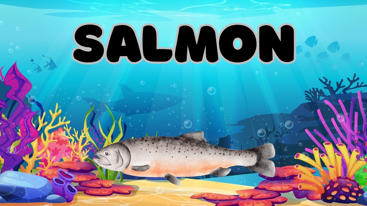 Fish | Learn Fish Names for Kids | Let’s Learn Fish Names | Cute Fish Video 🐠