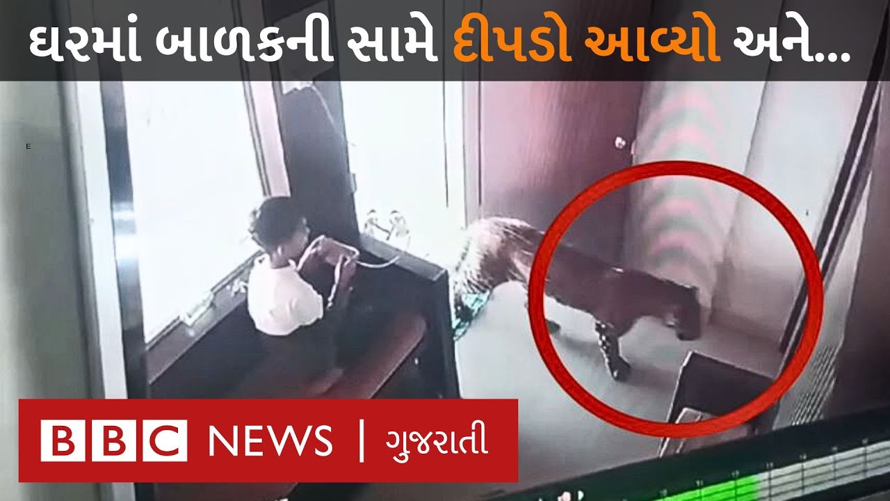 Leopard Viral Video : ફોન લઇને બેઠેલા બાળકે દીપડો જોયો અને પછી જે થયું તે...
