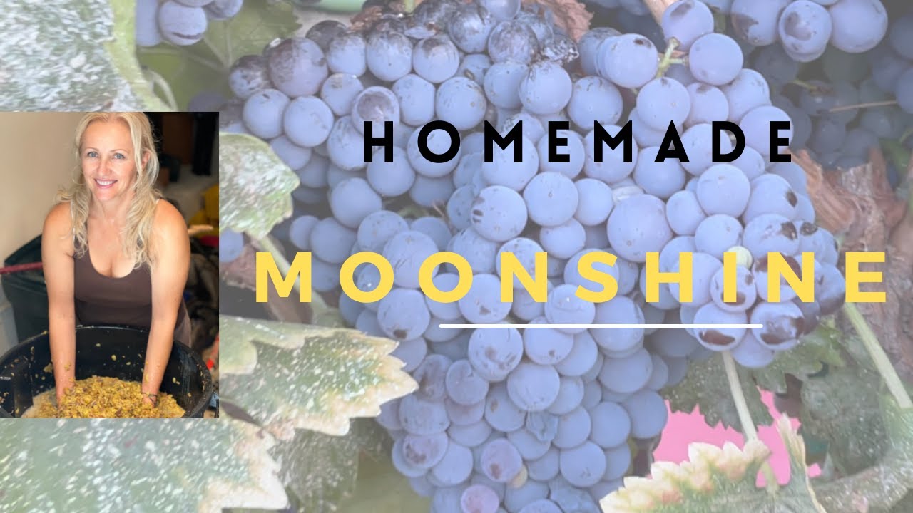 HOW TO MAKE MOONSHINE AT HOME - from grapes