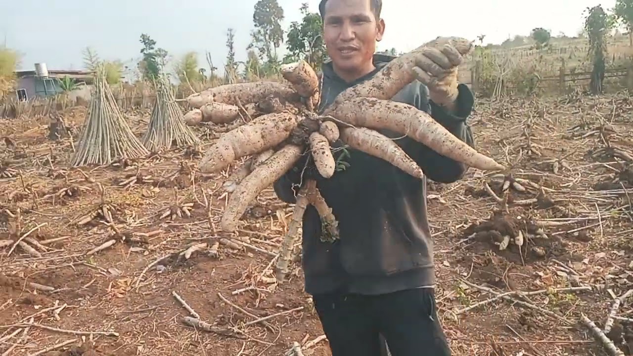 ສ້າງລາຍຮັບເພື່ອລ້ຽງຊີ້ບ/ ส้างลายรบเพื่อล้ญงชีบ