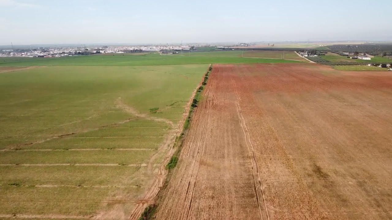 dji mavic mini