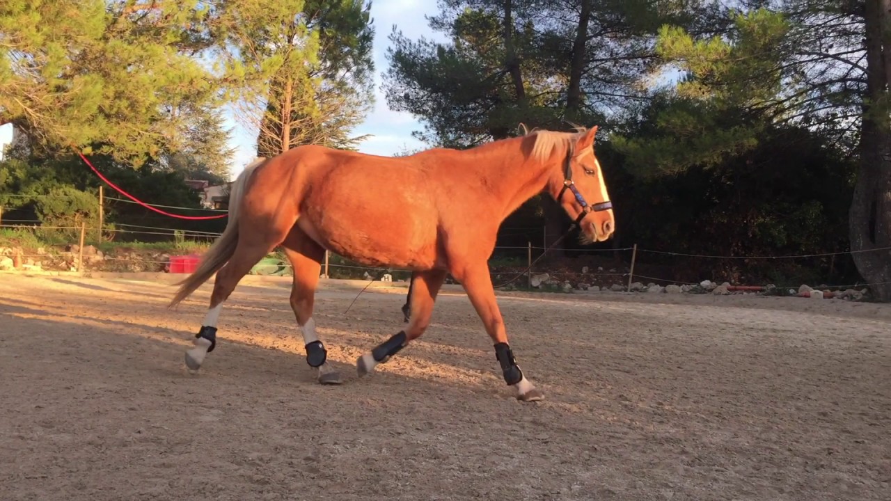 Longe au couché du soleil - I Need a one dance l