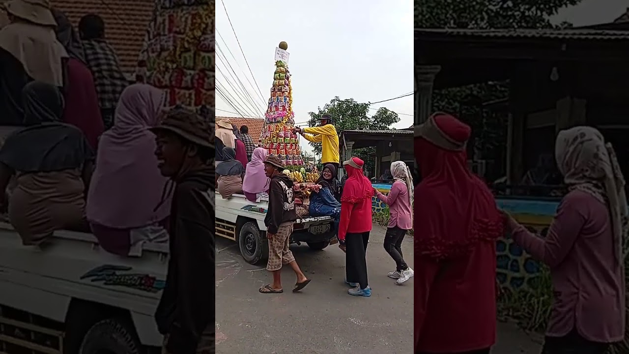 Sedekah Bumi Desa Kalimati, Tarik