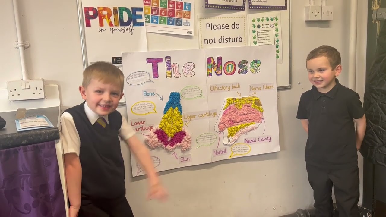 P2 and the Nose