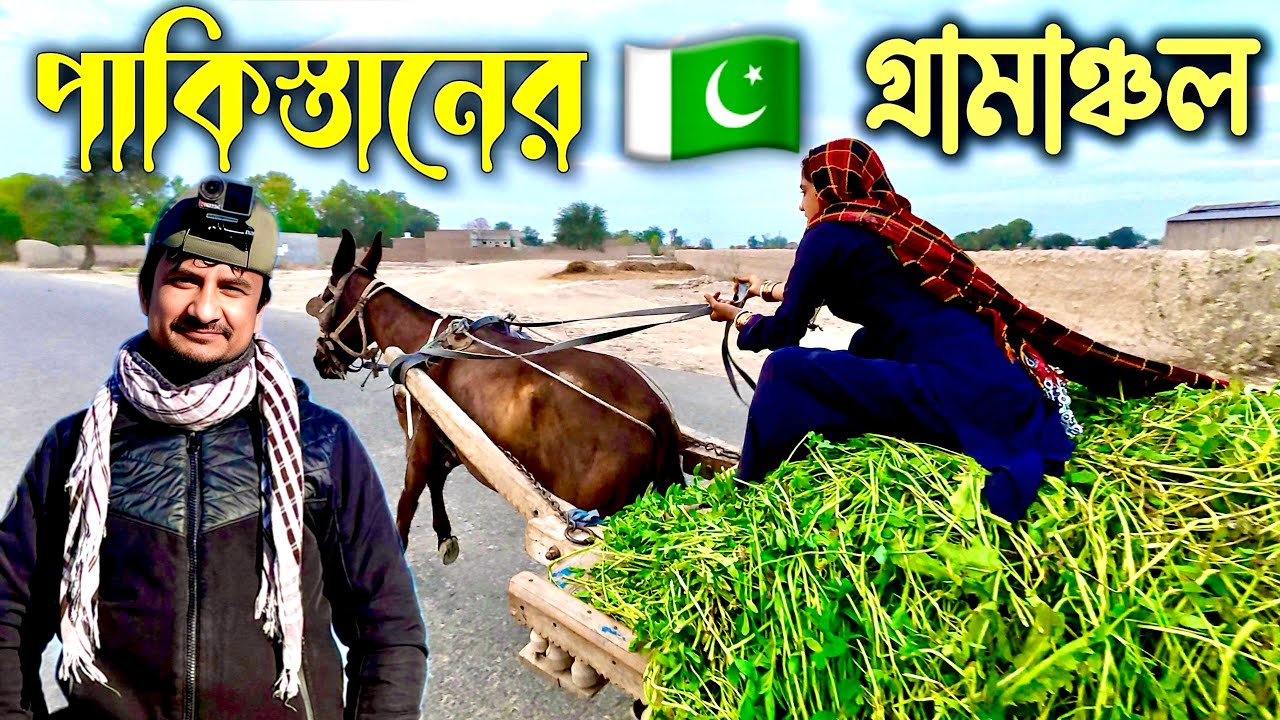 পাকিস্তান ভ্রমণ পর্ব (৪০) 🇵🇰 Pakistan Travel Ep (40) 🇵🇰