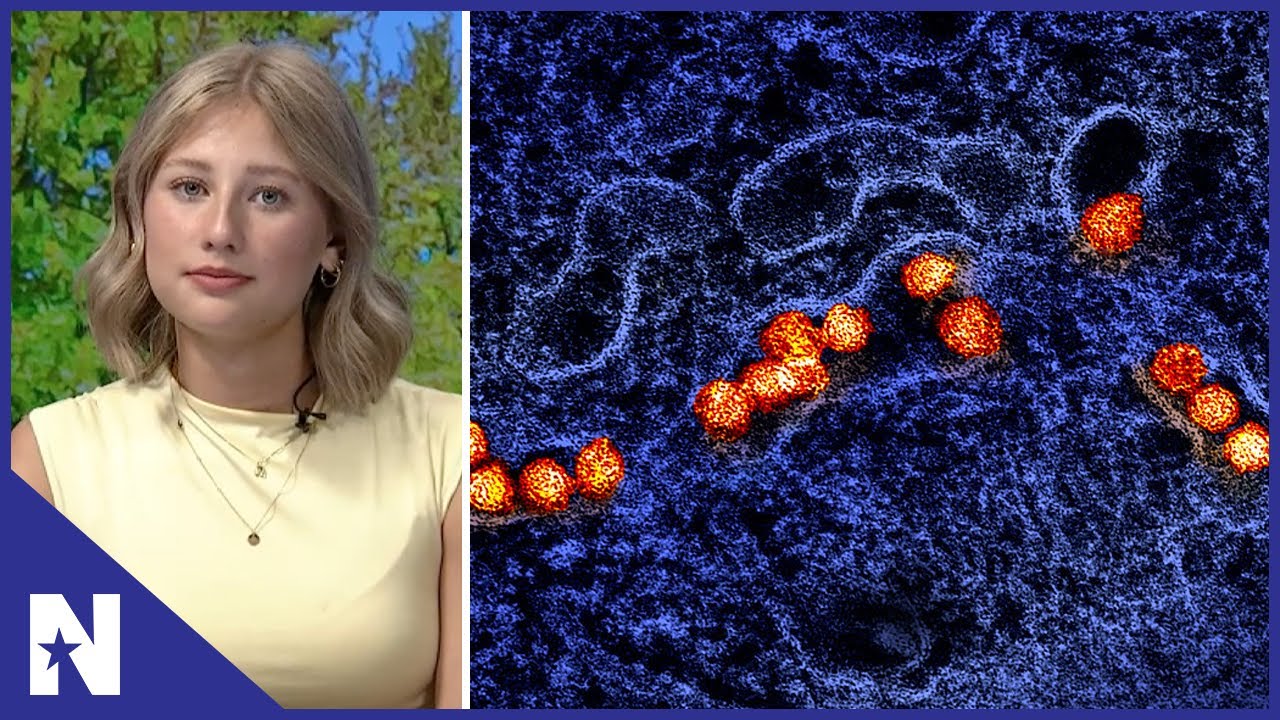 West Nile Virus Concerns | NTTV Tuesday Nightly News, September 16th, 2025