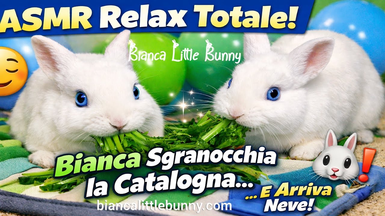 ASMR Relax Totale 🥬 Bianca Sgranocchia la Catalogna… e All’Improvviso Arriva Neve 🎈🐇