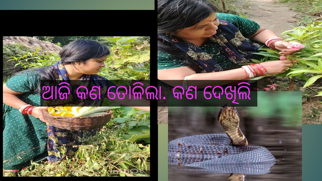 ଆଜି ବାଡ଼ିରୁ କଣ କଣ ତୋଳିଲି, କାହାକୁ ଦେଖିଲି 💗