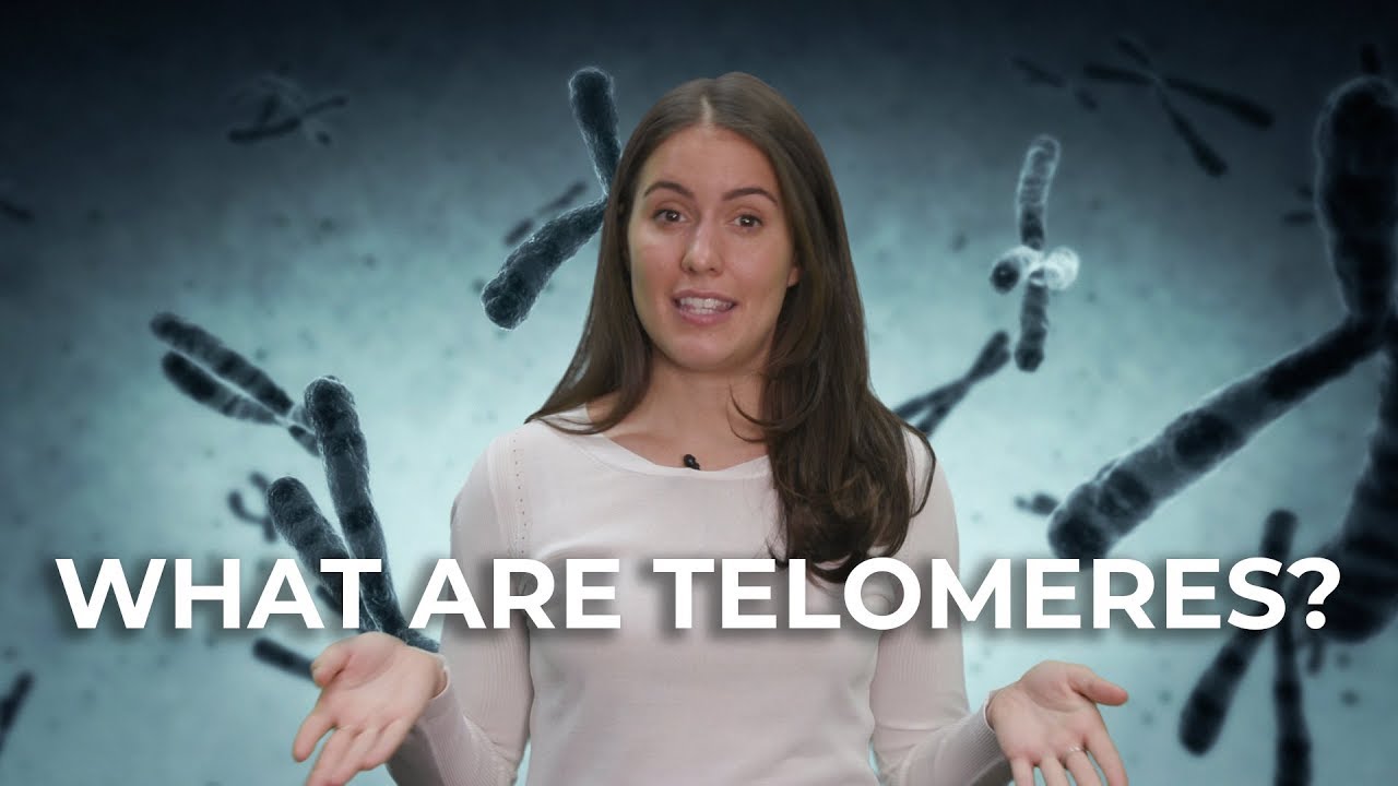 Why Do We Age? - According To Science