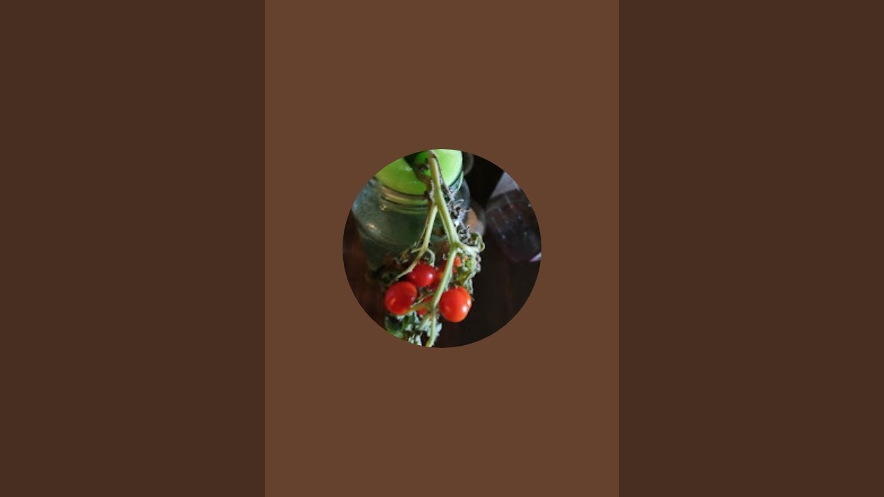 Watching my ground cherries grow.