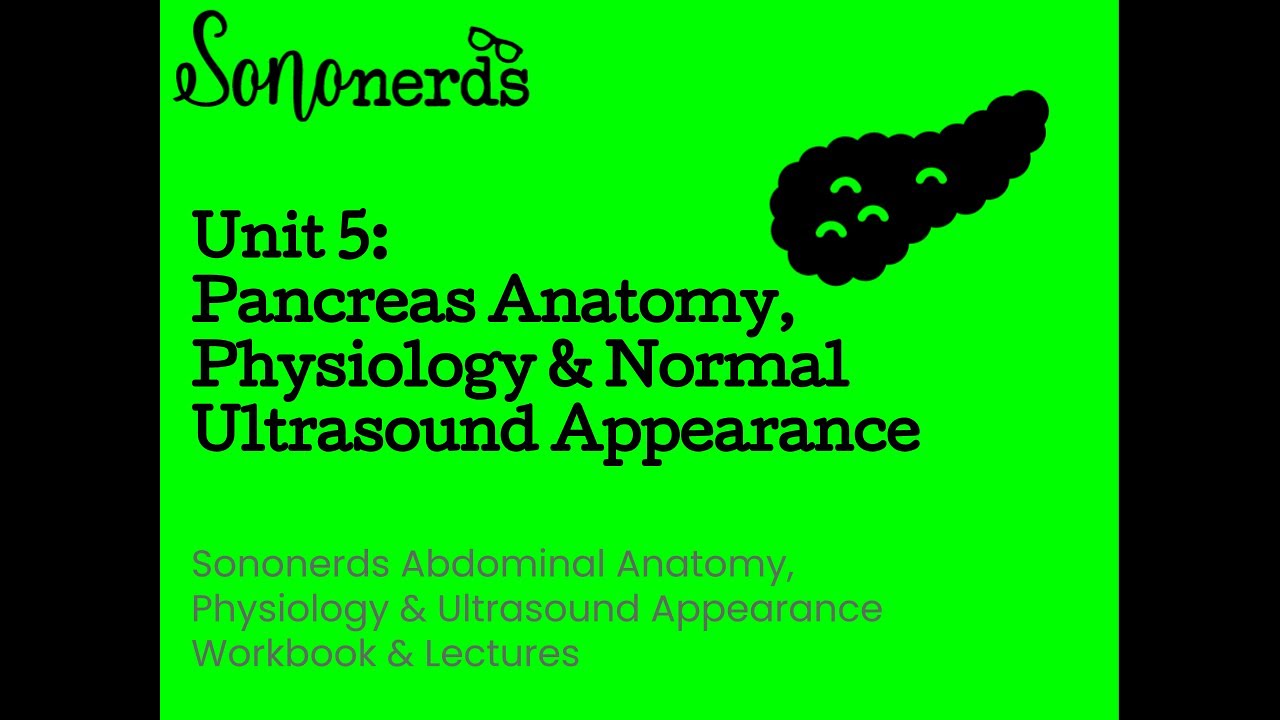 Pancreas :: Anatomy, Physiology & Ultrasound Appearance :: Abdominal Ultrasound with Sononerds