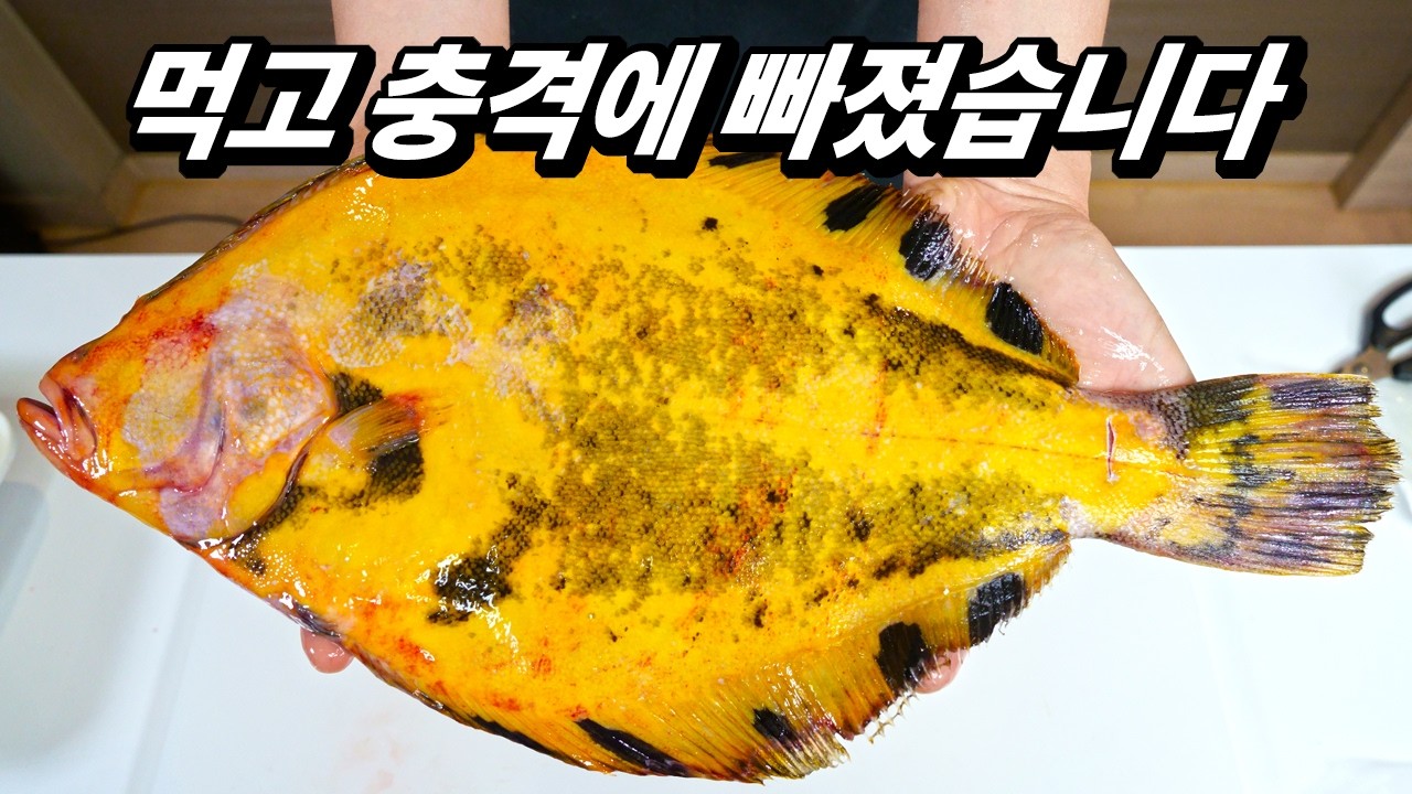 살다살다 이런 회는 처음입니다! 어부들도 몰랐던 초희귀 가자미 알고보니..
