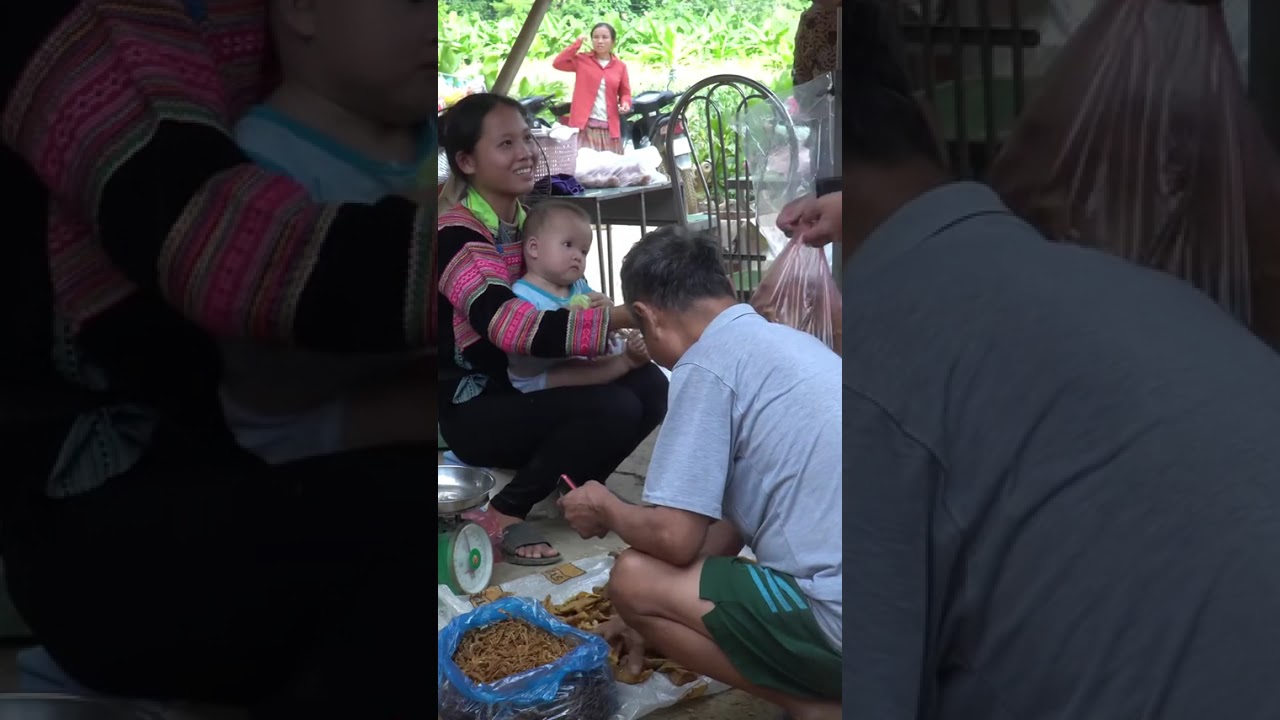 Harvesting & Processing Dried Bamboo Shoots Using Sunlight 1 Year Living in the Forest