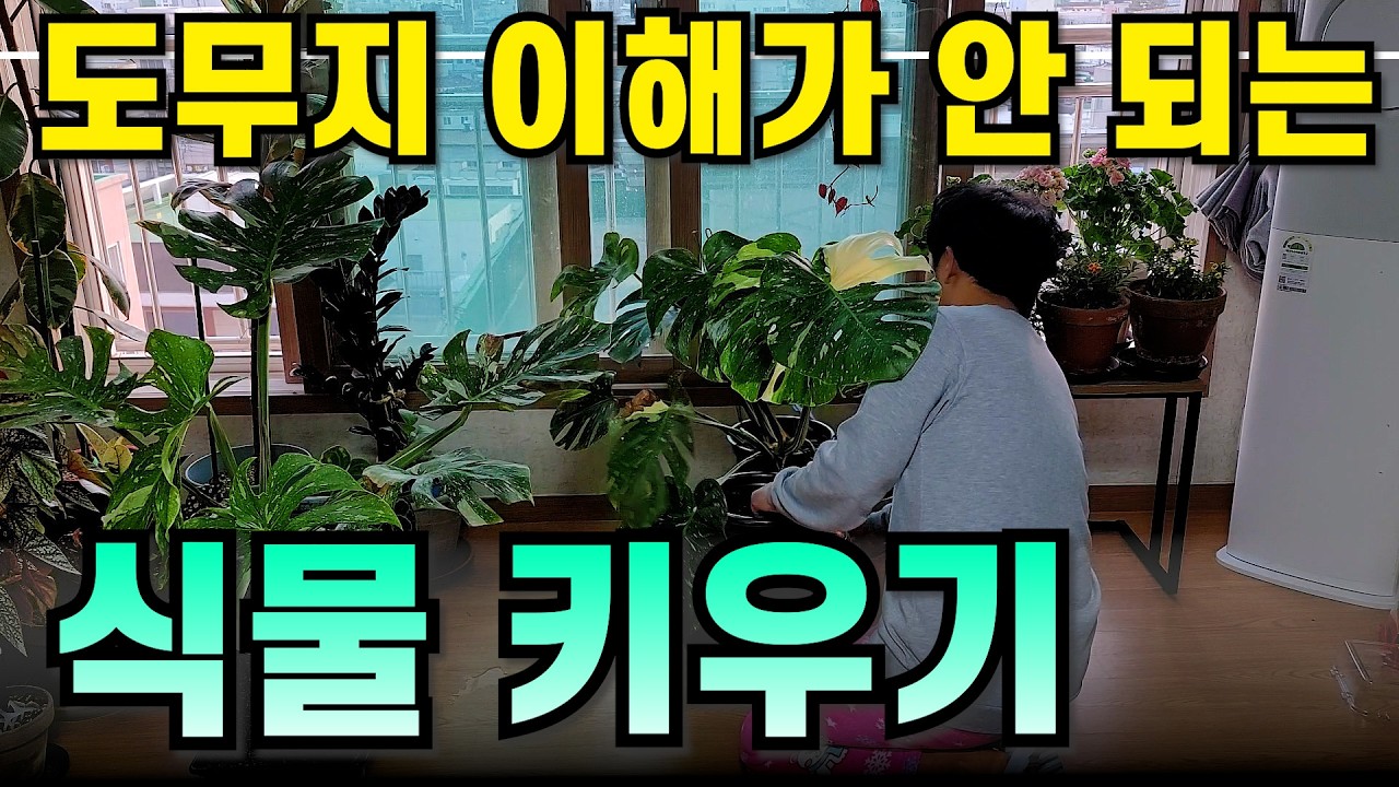 재미있게 집에서 식물 키우기!