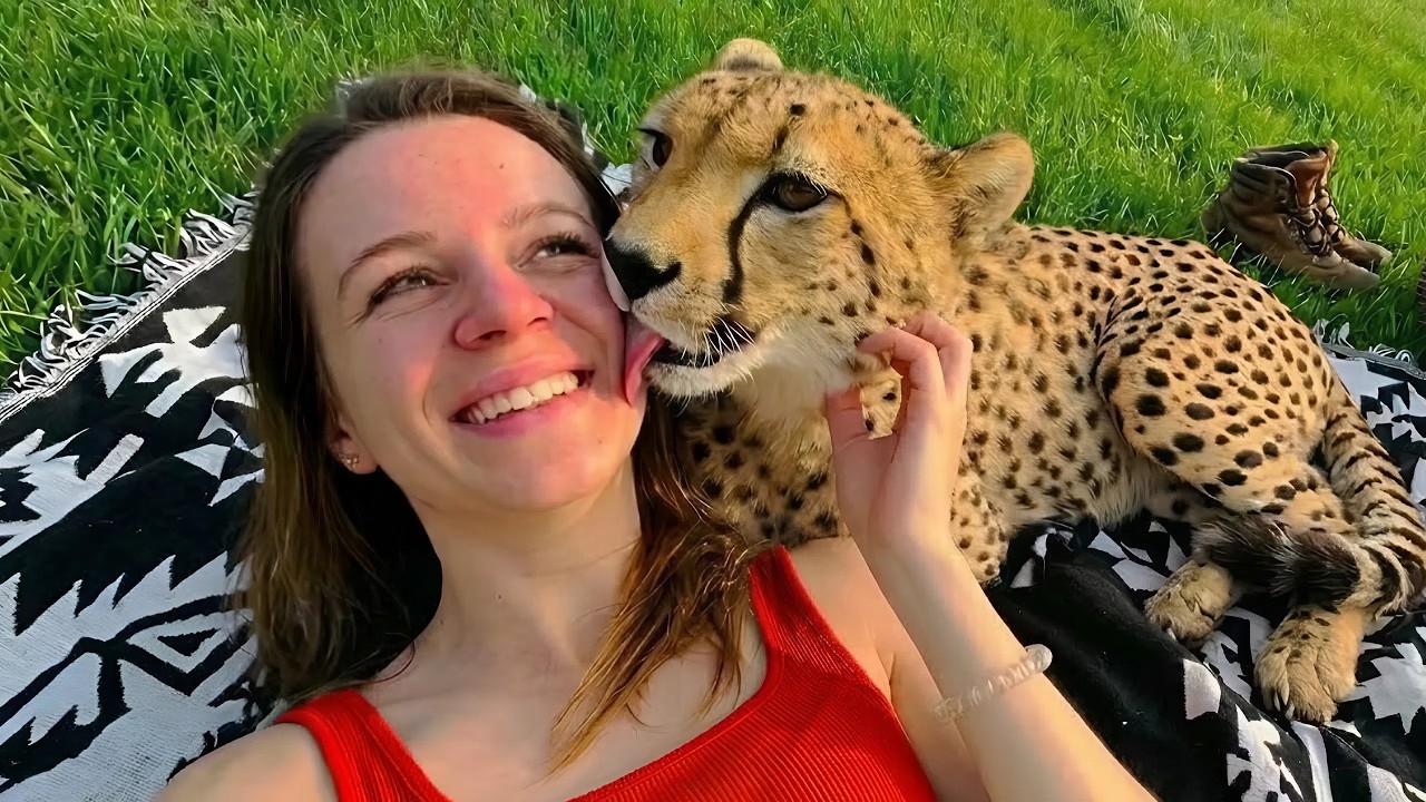 When Wild Animals and Humans Share the Cutest Moments Ever 😍