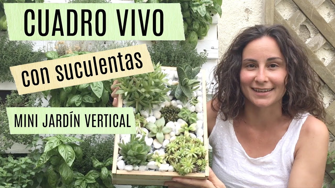 Cuadro vivo con suculentas - Mini jardín vertical paso a paso