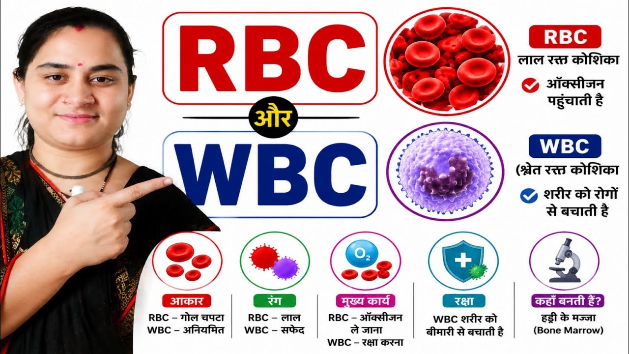 RBC||WBC||“White Blood Cells vs Red Blood Cells – हँसते हँसते सीखें Biology”