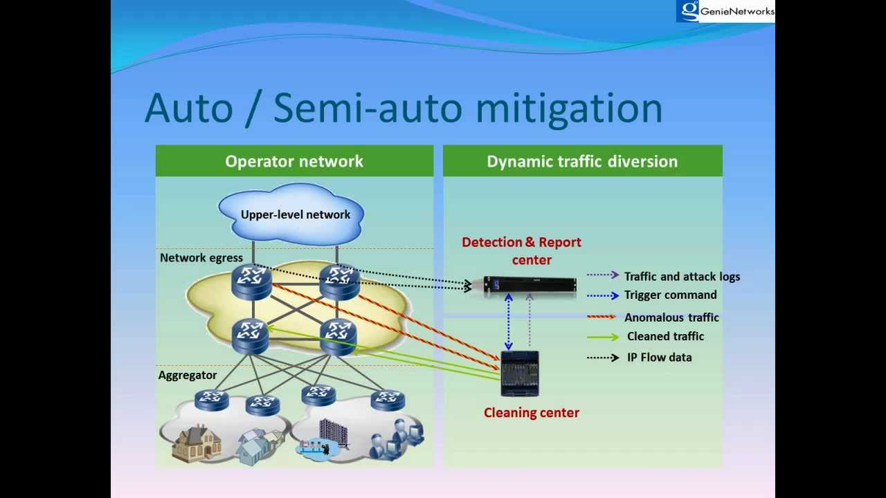 Genie Networks - Managed service provision