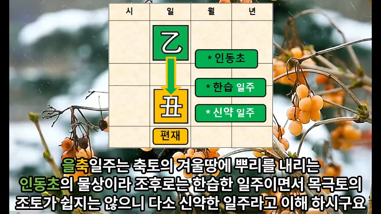병오년 운세 / 을축 일주 / 운세 2026 / 일간별 운세 / 병오년 을축일주 / 식신상관운 / 운세해석 / 운세풀이 / 사주명리 기초 / 사주팔자 / 사주풀이 / 사주명리학강의