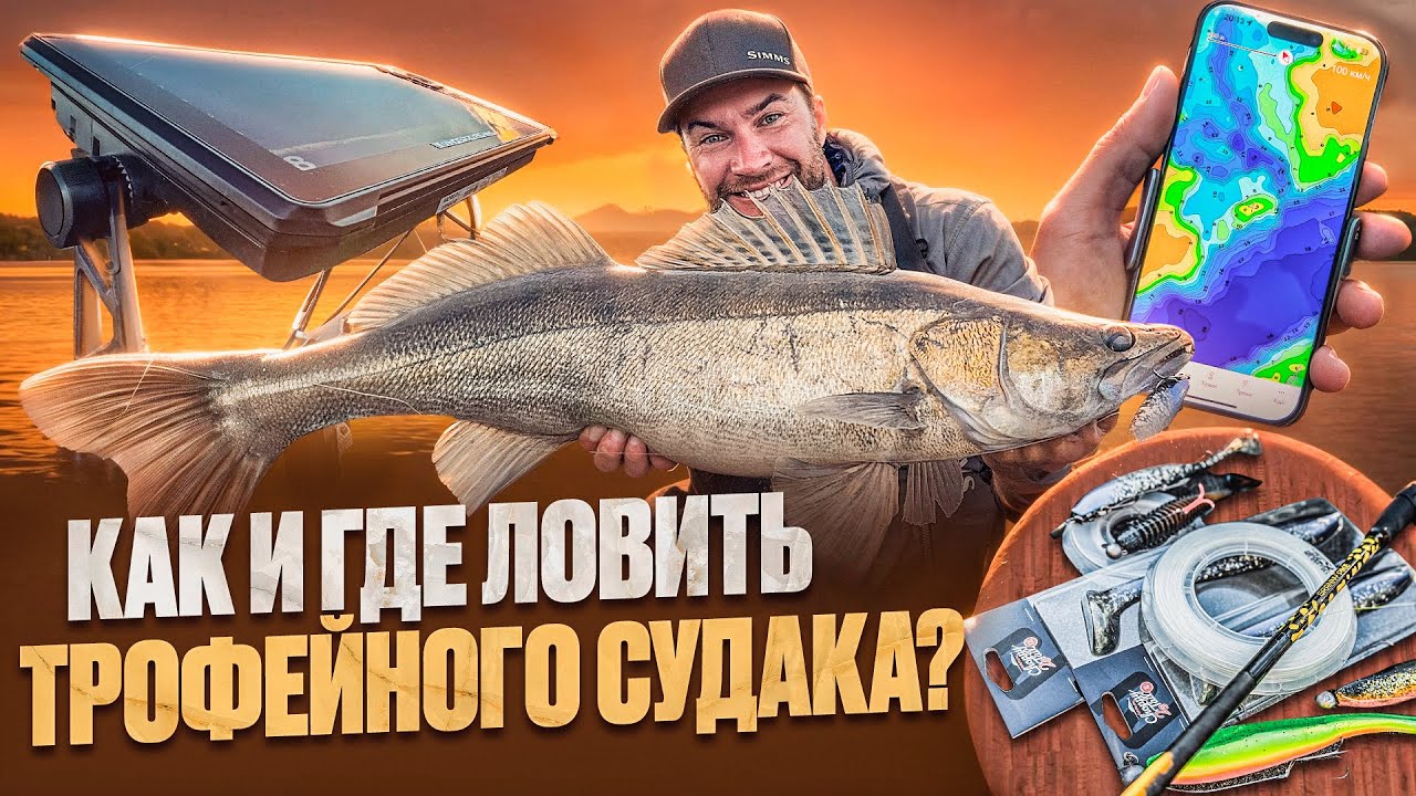 Крупный силикон творит чудеса | ТРОФЕЙНЫЙ СУДАК не пройдет мимо | Эксперт Олег