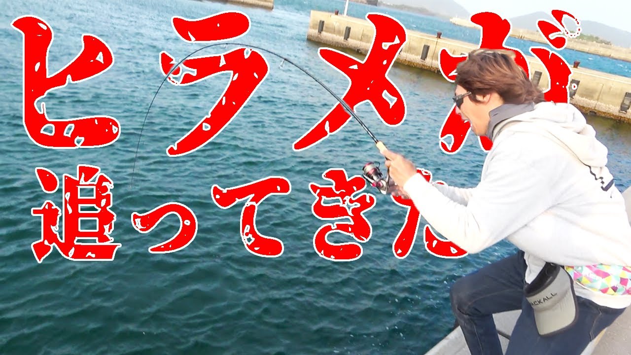 【衝撃】釣った魚に巨大なヒラメが襲い掛かってきた！！！