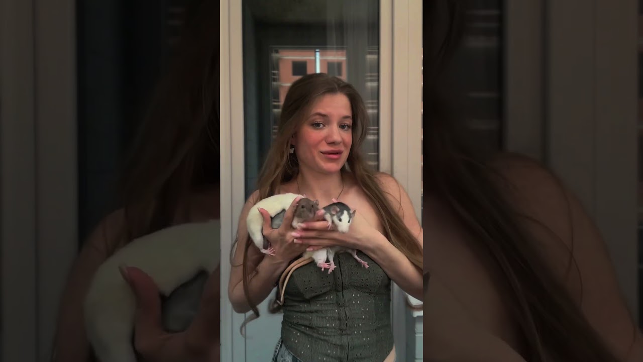 Норм стиль?