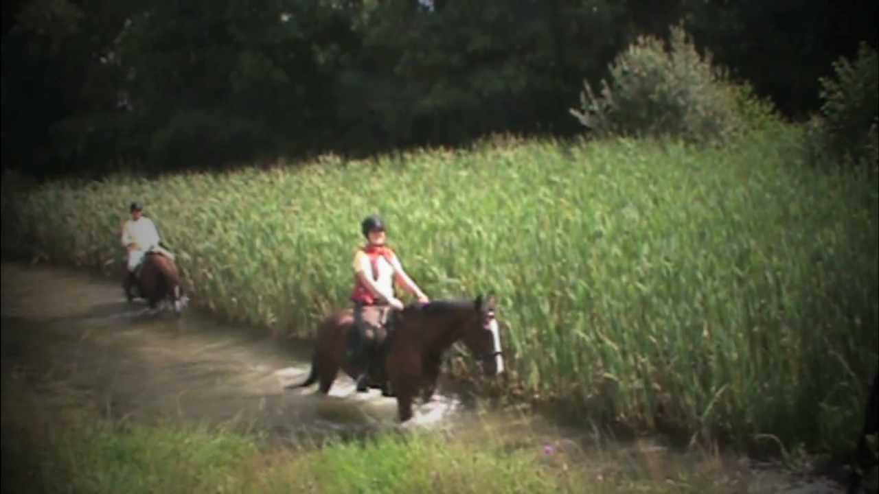 Clonshire Equestrian Centre Vacation [Ireland]