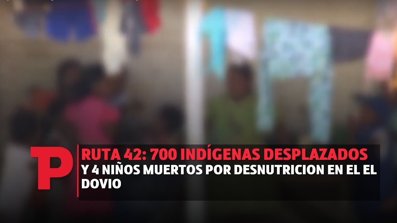 Ruta 42: 700 indígenas desplazados y 4 niños muertos por desnutricion en el El Dovio I17.07.2023 I