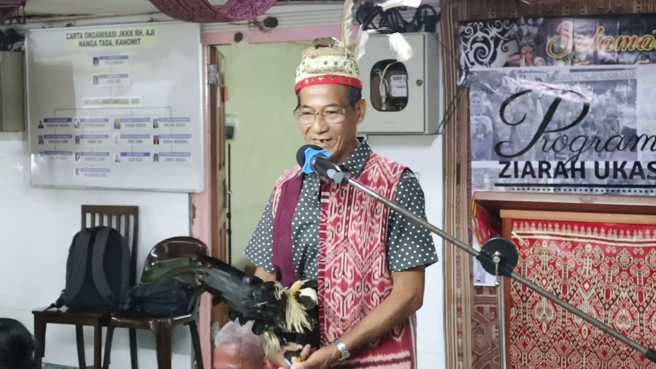 SAMPI HARI GAWAI DAYAK DARIPADA TEDONG ANAK GANI