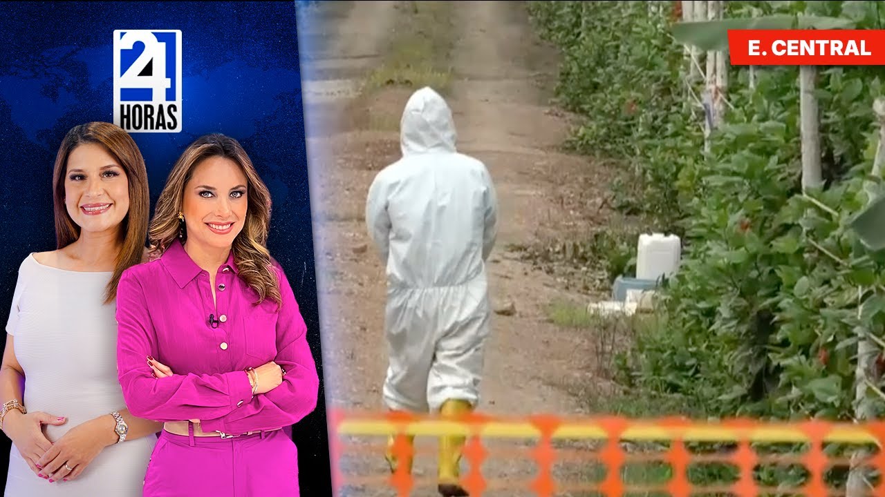 Noticias, viernes 26 de diciembre del 2025 | 24 Horas | Ecuador