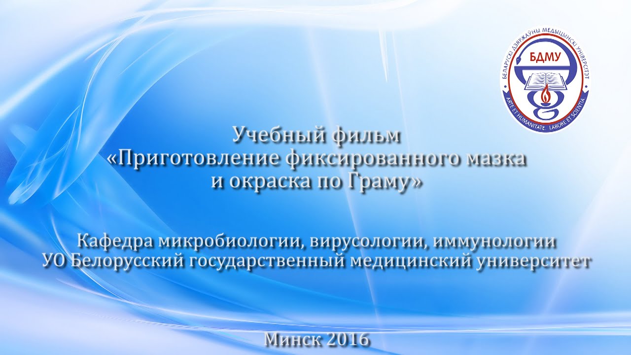 Приготовление фиксированного мазка и окраска по Граму