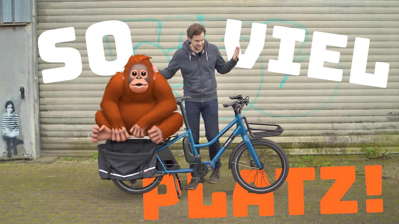 Für Familie und Gewerbe! Douze LT2S Lastenrad Test & Fazit nach 4 Wochen