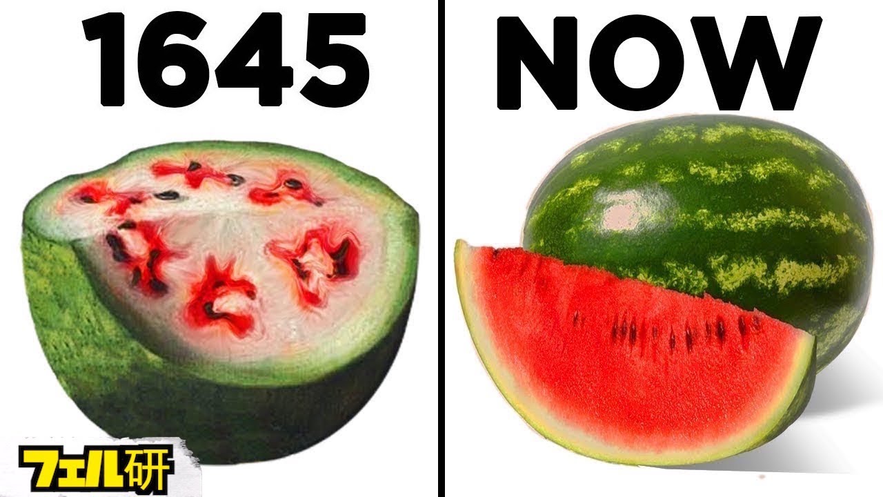 【衝撃】昔と今では全然違う食べ物７選
