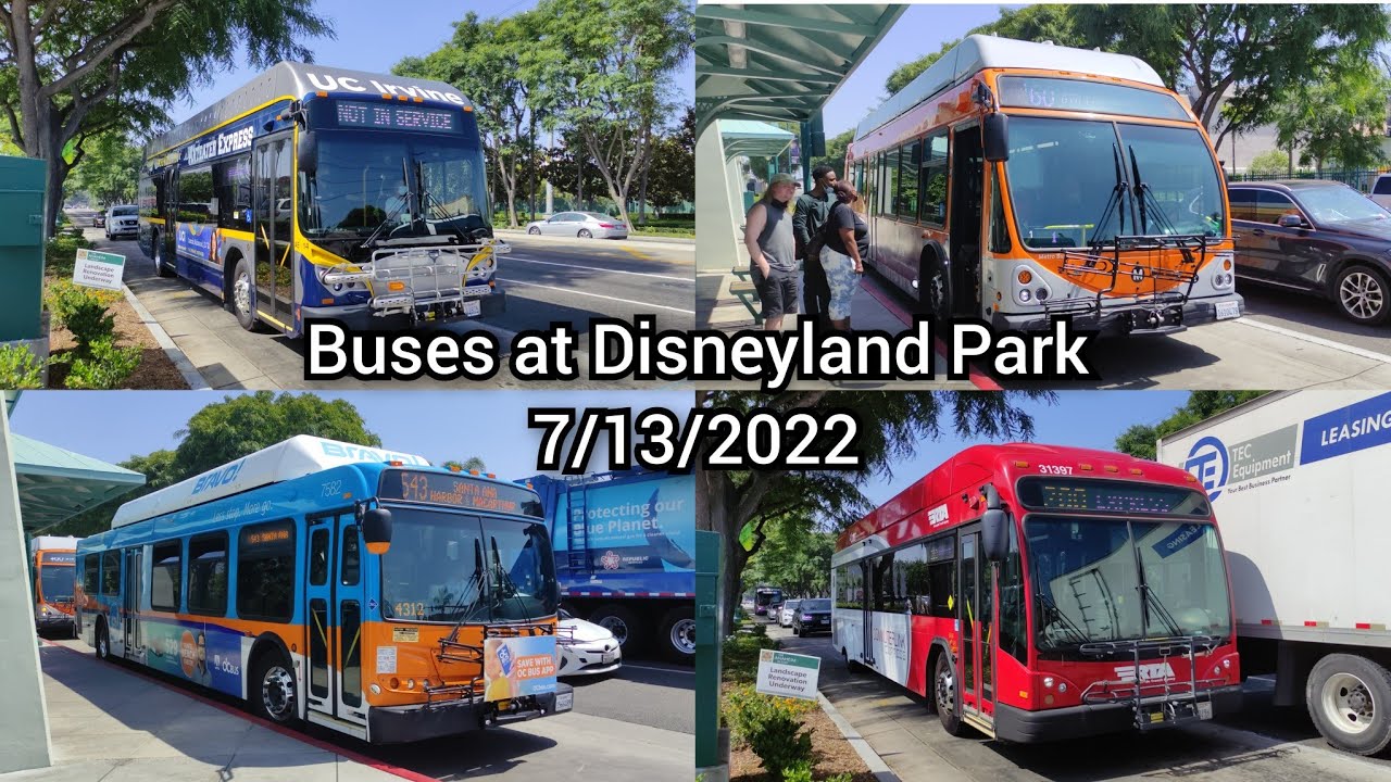 Buses at Disneyland Park - 7/13/2022