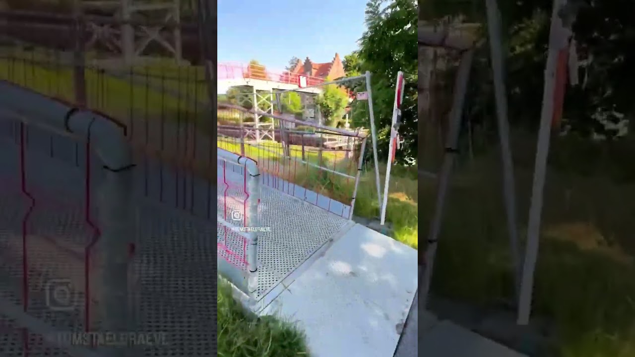 Morning run in the 🌞 sun: I ❤️ running and more!#running #runningmotivation