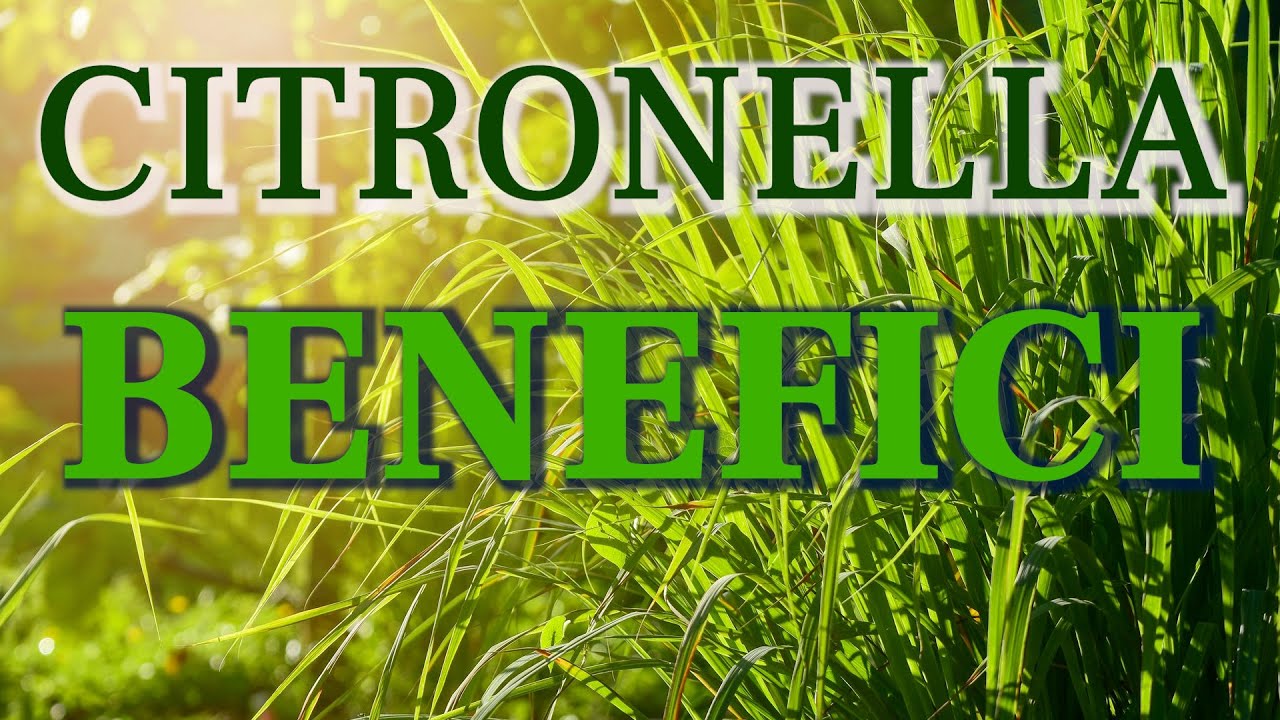 CITRONELLA BENEFICI