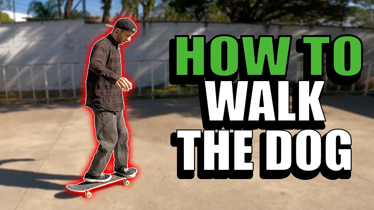 HOW TO WALK THE DOG