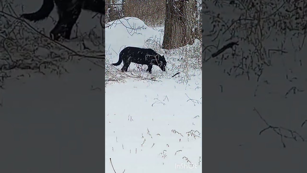 05.02.25 .