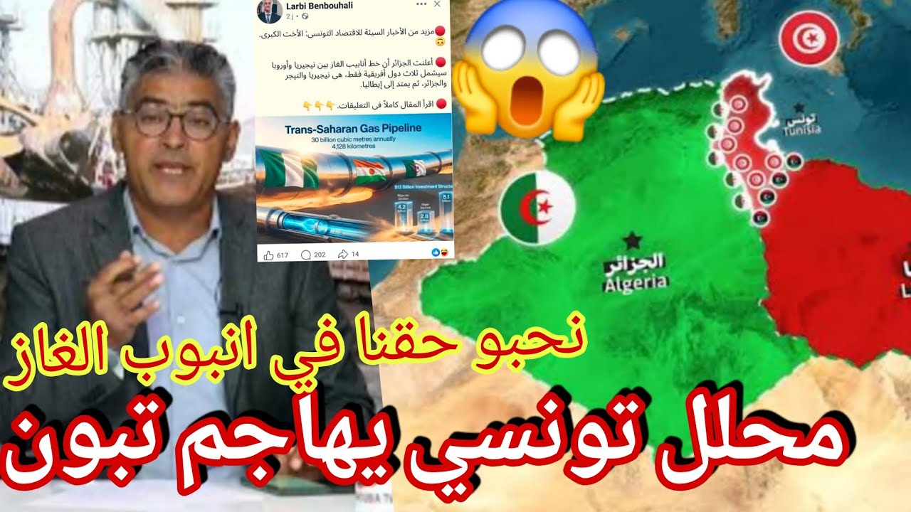 بعد قرار الجزائر غلق حدود و تشديد رقابة على سلع الجزائر المهربة ال تونس نخبة تونس تهاجم تبون وتحاسب 