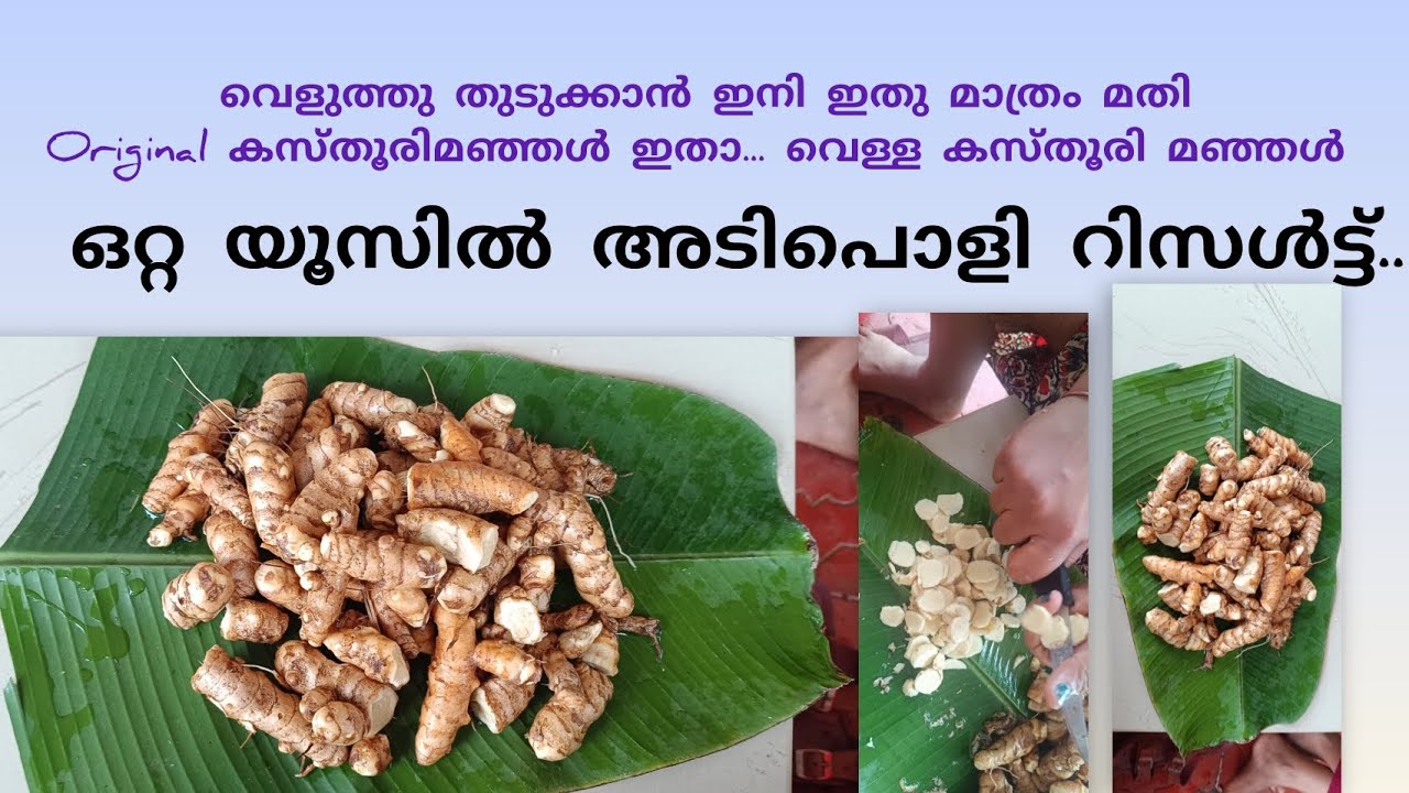 ഒറ്റ യൂസിൽ മുഖം വെട്ടി തിളങ്ങാൻ ഒർജിനൽ കസ്തൂരി മഞ്ഞൾ ഇതാ.....