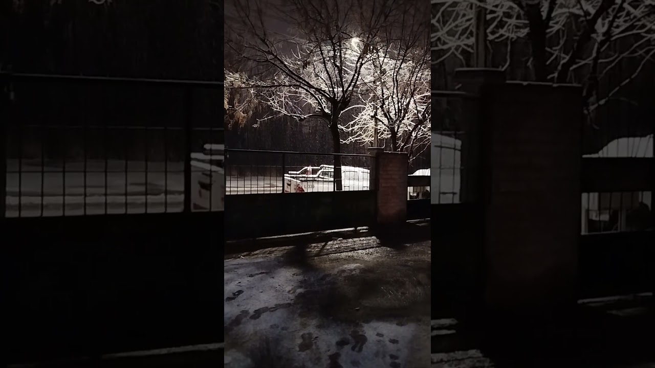 As&iacute; se vive una noche nevada en Neuqu&eacute;n 🌨️❄️