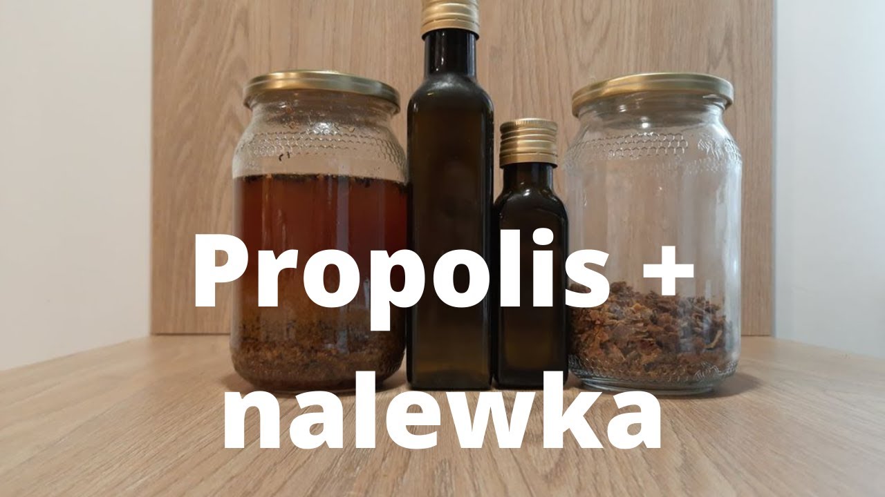#49 Propolis, nalewka propolisowa - jak pozyskuje.