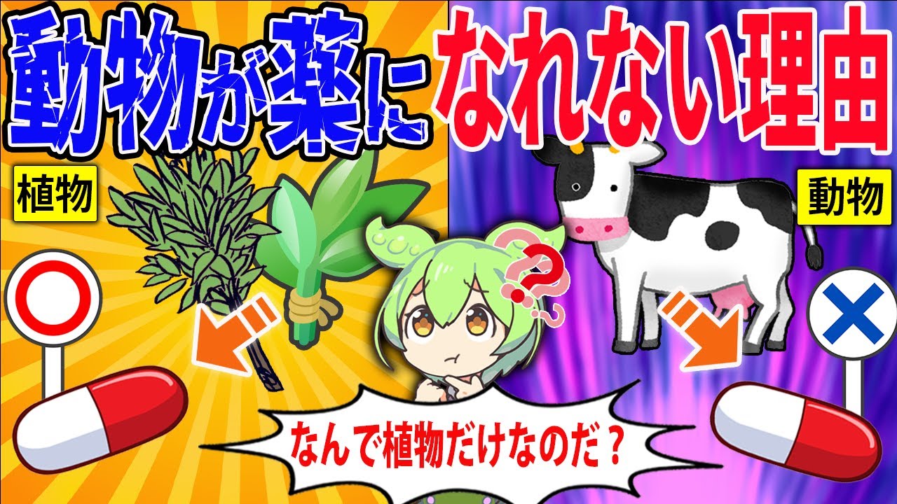 植物は薬になるのになぜ動物は薬にならないのか？【ずんだもん＆ゆっくり解説】
