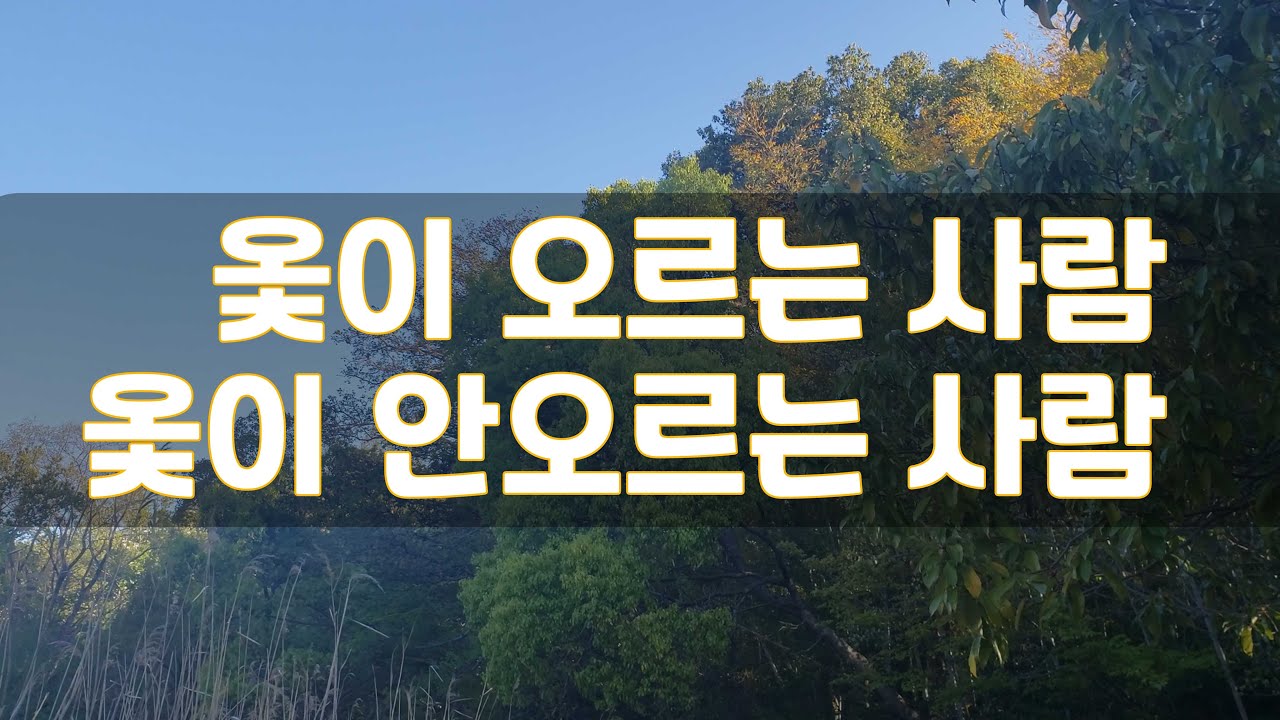 옻이 오르면 어떻게 되나|옻은 왜 오르나|옻올랐을때 대처방법