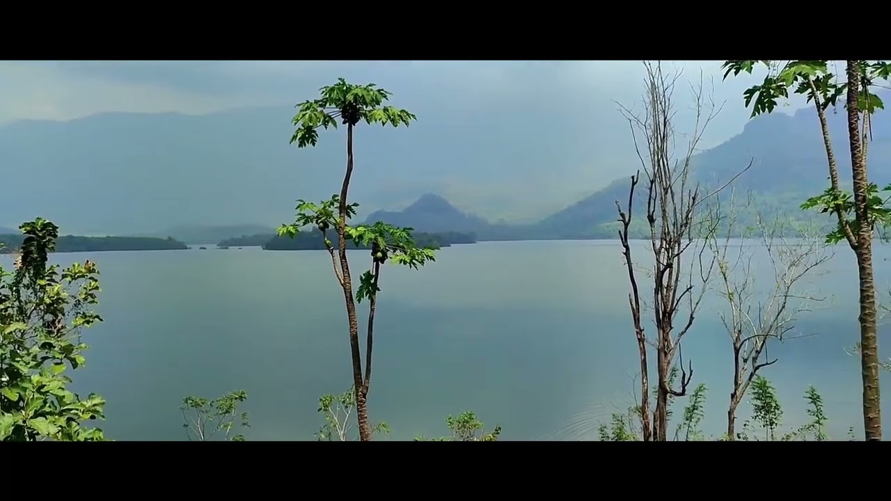 Pechiparai Dam  | Tourism Kerala | Thiruvananthapuram
