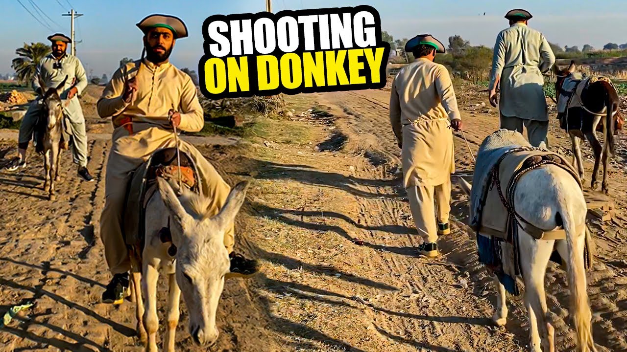 Drama Shooting On Donkey || Funny Vlog #comedy
