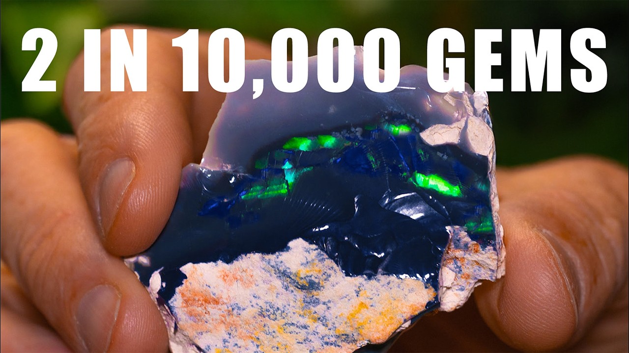 ROUGH OPAL CUT A HARLEQUIN PATTERN BLACK OPAL - 1 in 10,000 GEMS