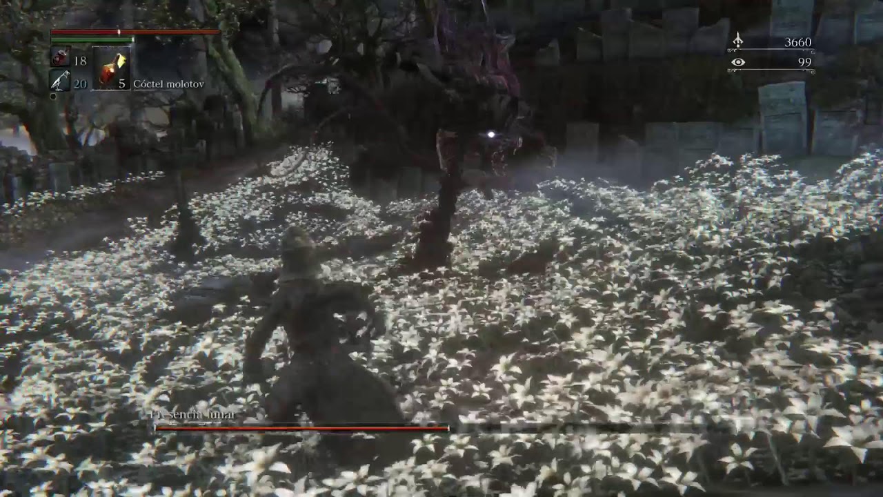 Bloodborne !!!