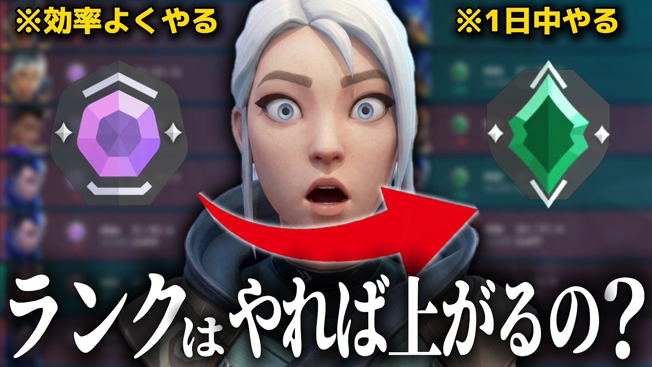 『量』か『質』どっちが大切なのか検証してみた結果...【VALORANT】